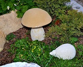 Ježek,malá houba a velká houba
